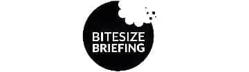Bitesize Briefing, January 2019