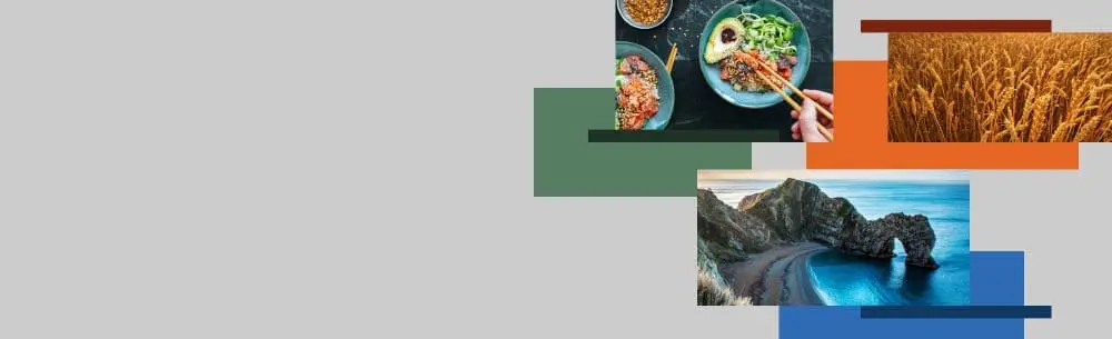 Mintel announces Global Food and Drink Trends for 2030