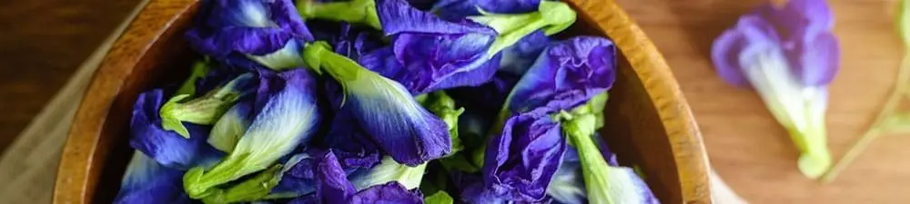 [WATCH] Trending ingredients to watch: Butterfly Pea Flower