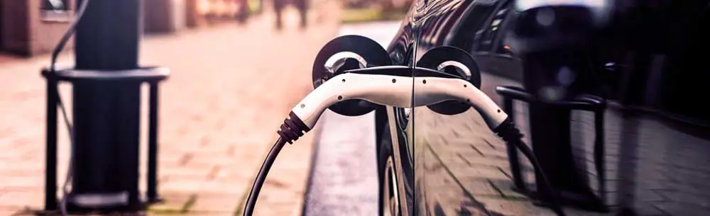 Driving green: Half of Americans want society to transition to emission-free transportation