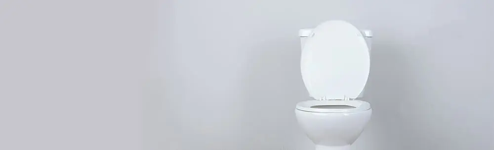 82% of UK men take responsibility for cleaning the loo