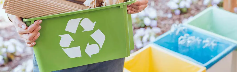 The eco gender gap: 71% of women try to live more ethically, compared to 59% of men