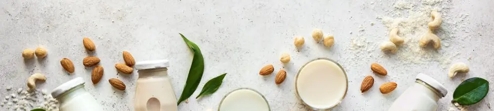 Emerging Trends in the Plant-Based Industry