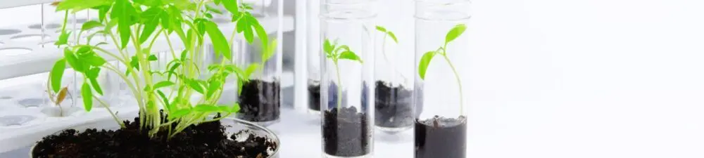 It’s time to rethink attitudes toward GMOs