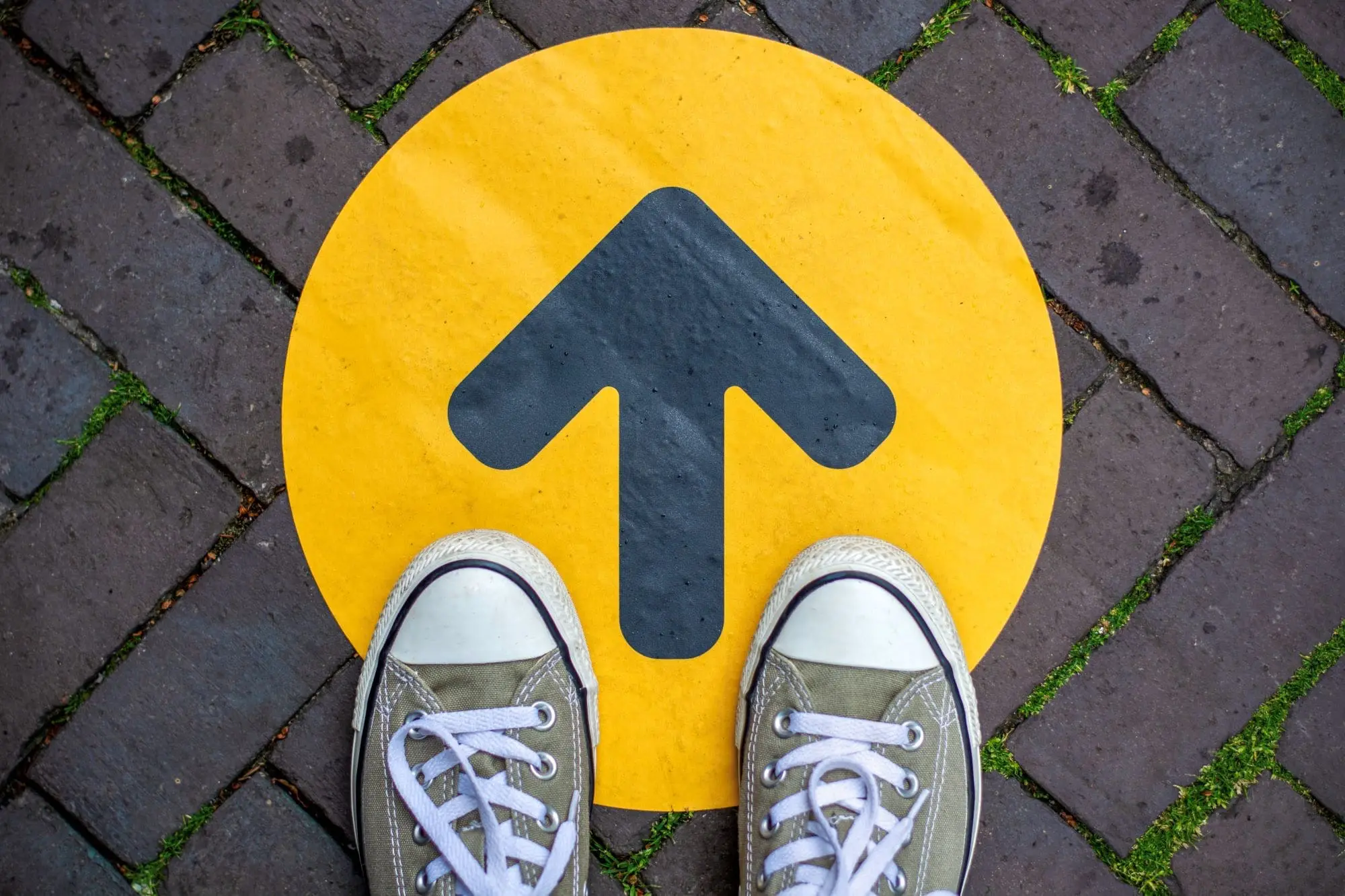 Mintel Careers Development Career Ladder