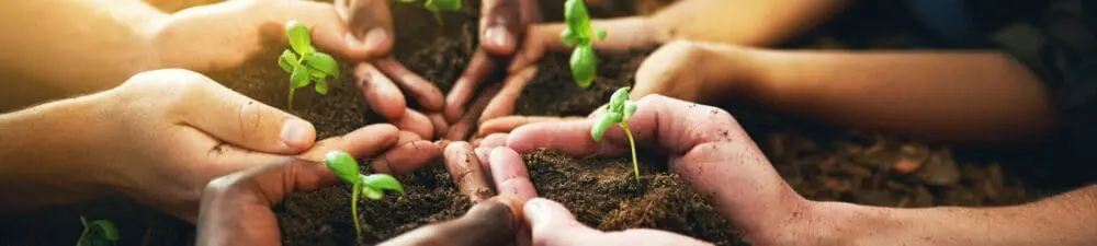 Market Research Society   Sustainability Summit 2023