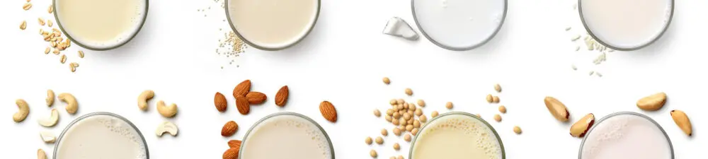 Glasses of plant based milks with assorted nuts and grains surrounding them.
