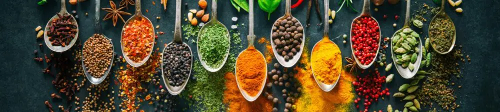Future of Ingredients: A landscape view of spoons with different spices on them.