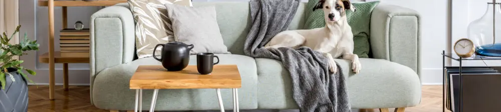 UK Homeware Trends Report