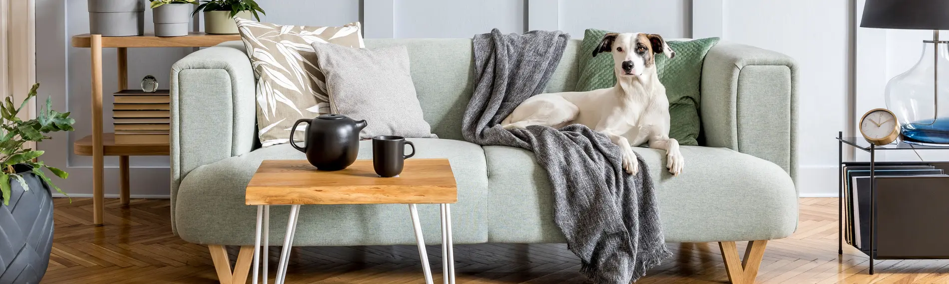 UK Homeware Trends Report