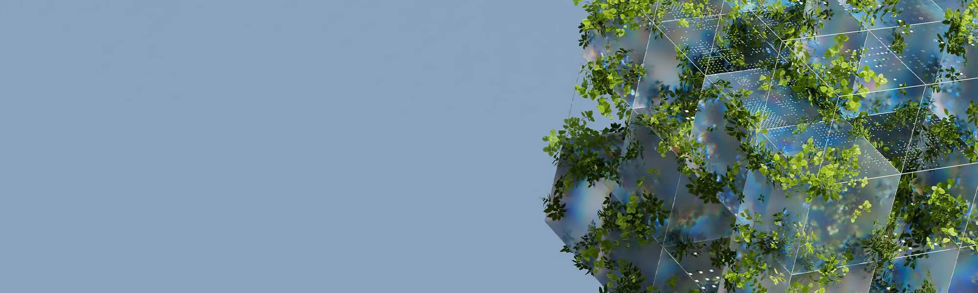 Global Outlook on Sustainability: A Consumer Study 2024-25