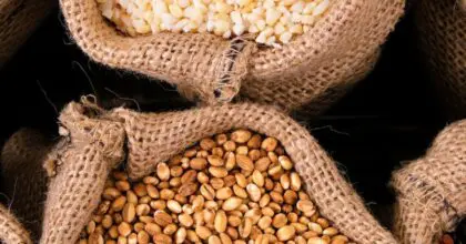 In pursuit of purity: Indian rice and pulses buyers look to make the loose-to-packaged transition