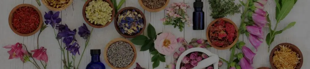FBIF Drink Innovation Trends Webinar - Herbal Medicine