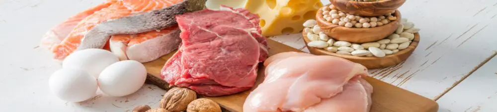 Selection of protein foods (meat, fish, and plant-based)