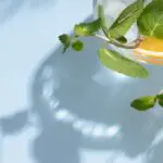 Two glasses of a lemon inspired alcoholic drinks.