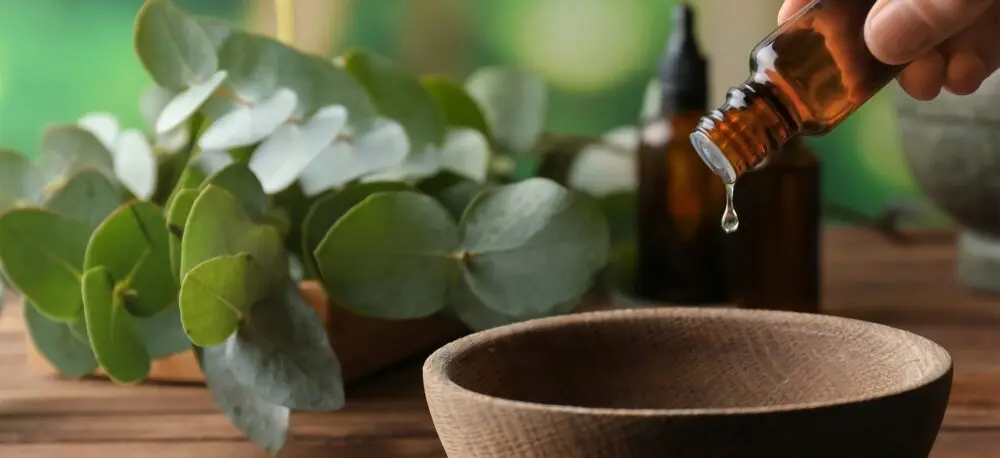 The Future of Fragrance: Key Trends Brands Can’t Ignore in 2025 & Beyond