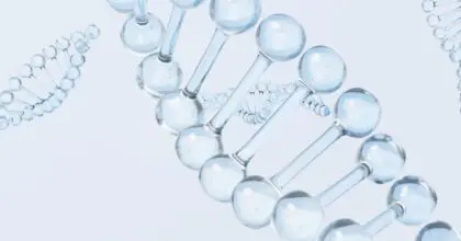 When Beauty Meets Quantum Computing: A New Approach to Pore Care Innovation