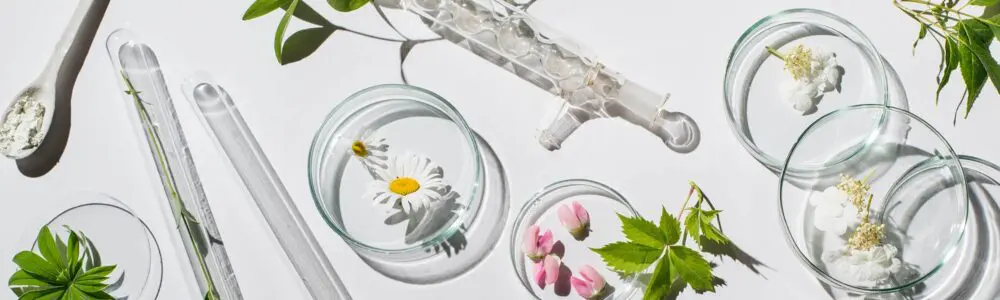 Global Beauty Ingredient Trends 2026