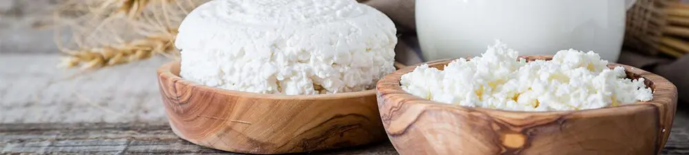 Hoher Proteingehalt ist der neue Trend bei Käse-Snacks