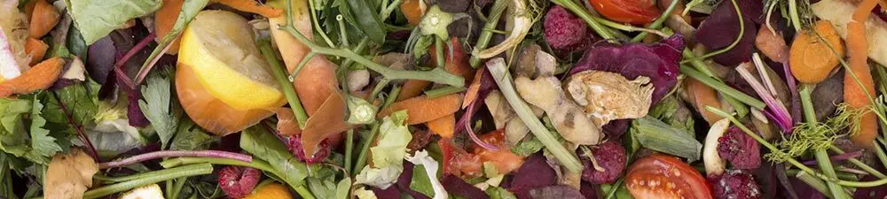 Verbraucher kämpfen gegen Lebensmittelabfälle