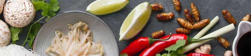 Werden wir bald Insekten essen?