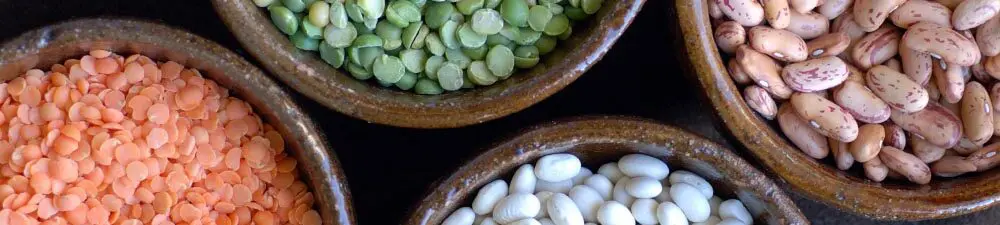 Das Potenzial von Pflanzenprotein