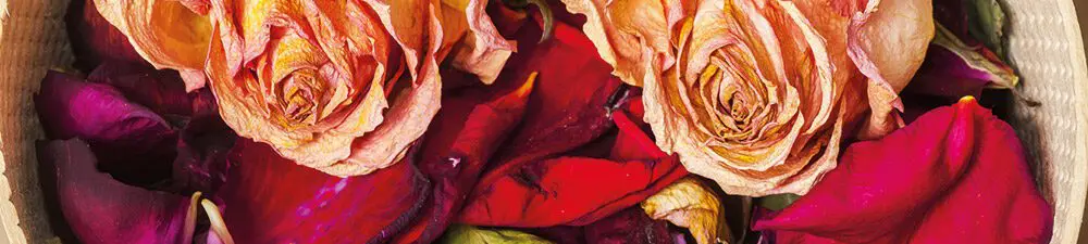 Angesagt: Blumiger Geschmack