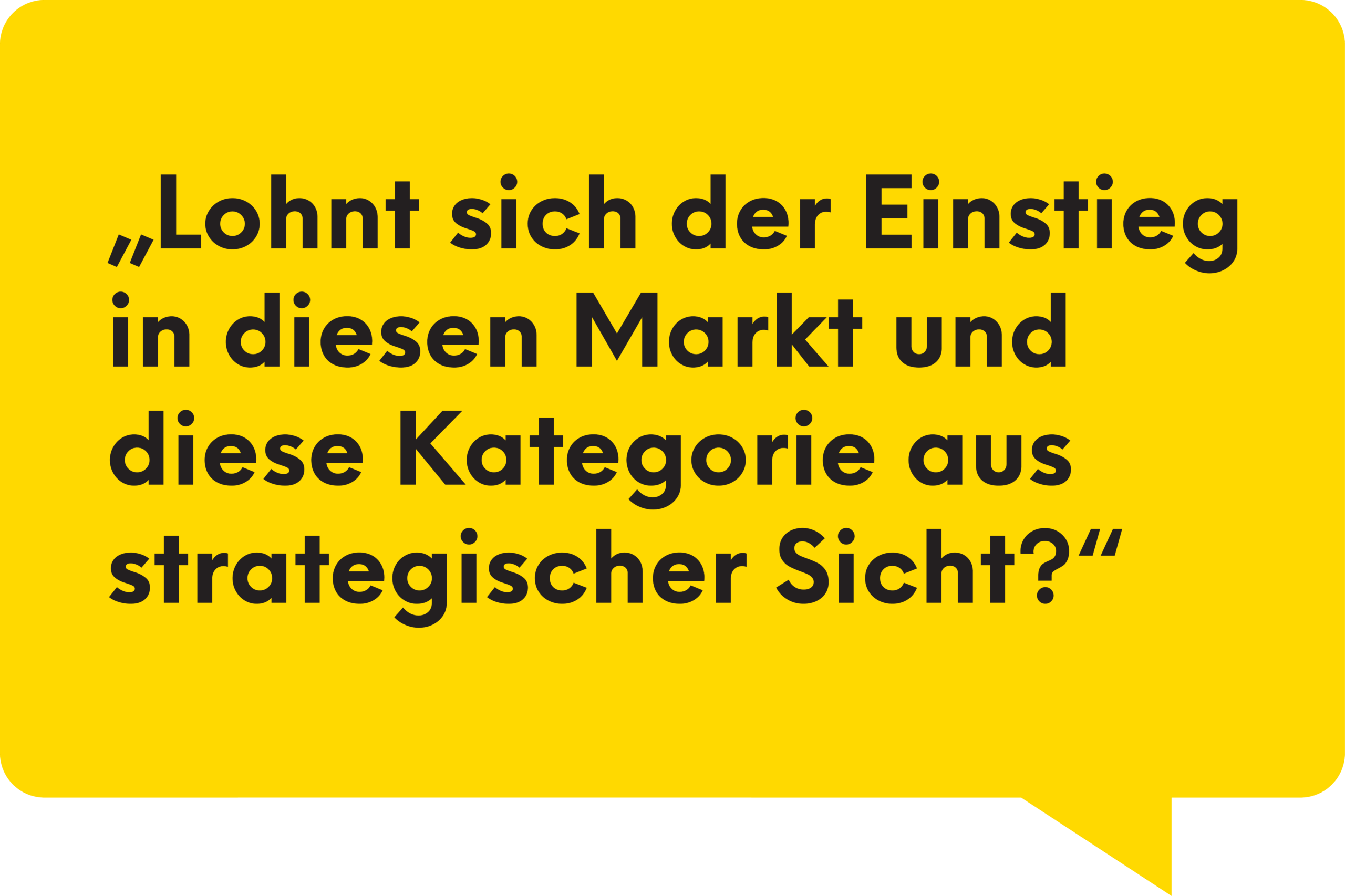 Lohnt sich der Einstieg in diesen Markt und diese Kategorie aus strategischer Sicht?