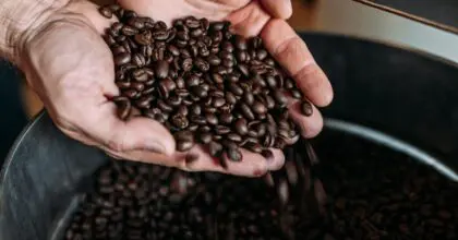 Le Futur du Café (seulement disponible en anglais)