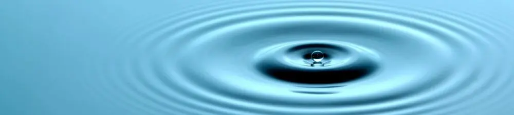 カテゴリーの壁が崩れるいま、“ウェルネス起点”が成長をつくる