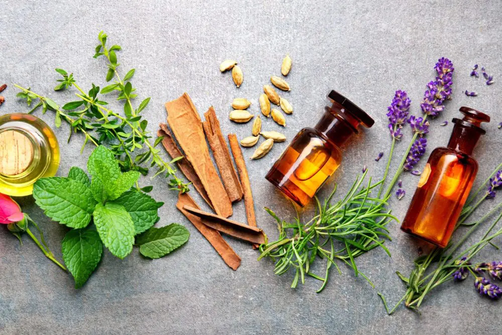 Ingredientes, Sabores e Fragrâncias