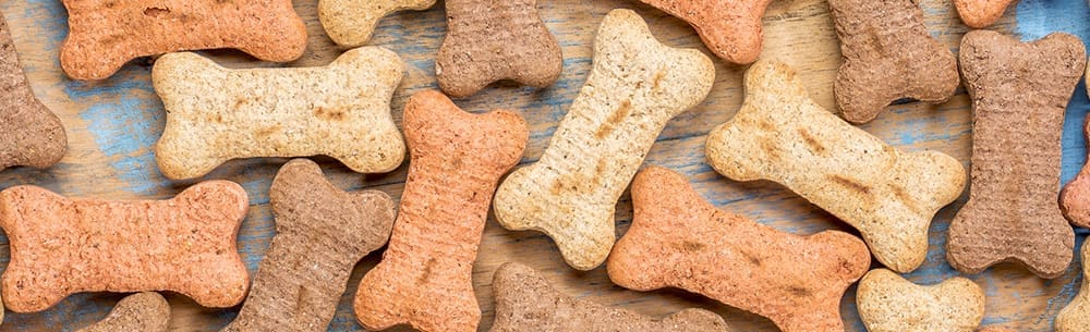 US sales of pet treats outpace dog/cat food over the last five years
