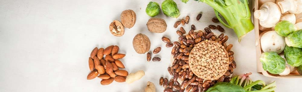 Taste is the top reason US consumers eat plant-based proteins