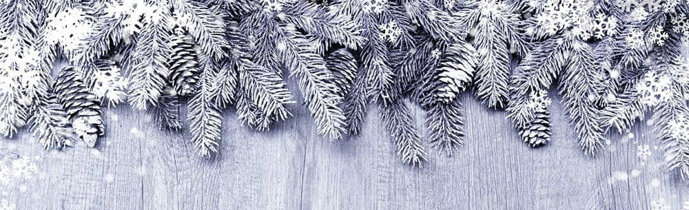 Mintel unwraps Christmas: Sales increase of 2.5% predicted for December 2015