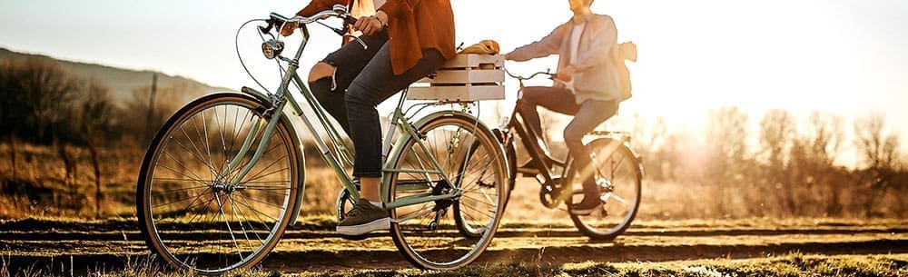 endless love korean bike