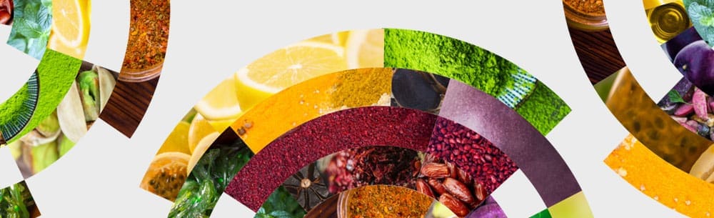 Mintel announces top flavor trends impacting the US foodservice industry in 2018