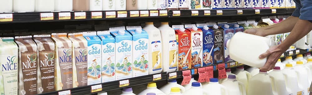 US sales of dairy milk turn sour as non-dairy milk sales grow 9% in 2015