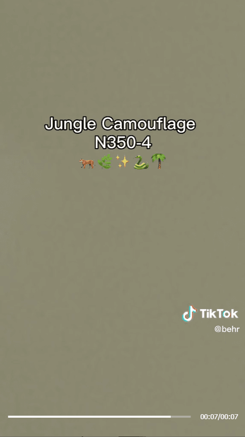 Behr paint colors on TikTok