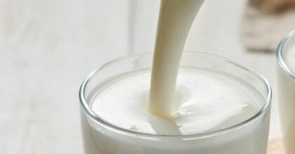 Homemade yogurt dominates as health benefits drive demand