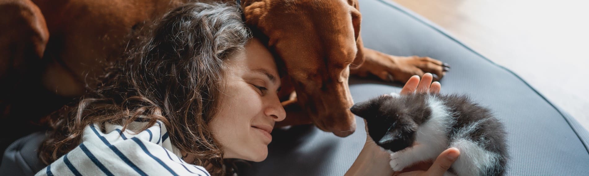 How Pets Impact Our Health, And How We Impact Theirs