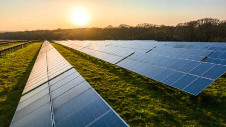 solar panel farm