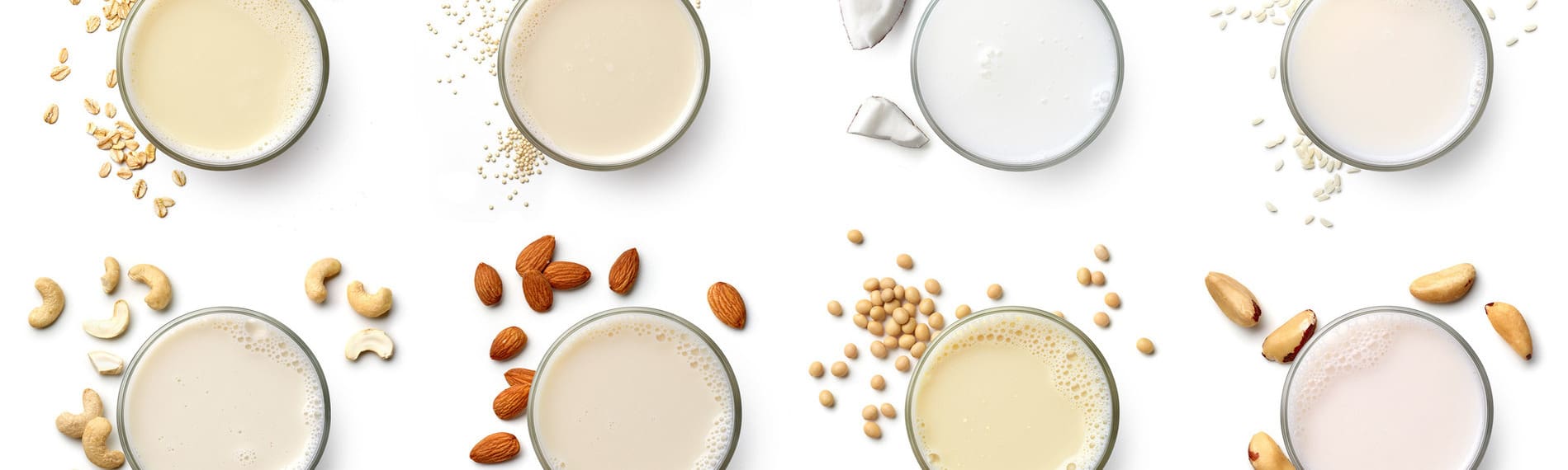 Rising Tendencies within the US Milk Trade