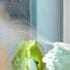 2025 Household Care Trends Webinar – Americas