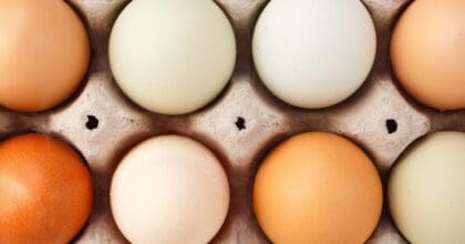 Ingredient Uncertainty - How food and drink brands can help