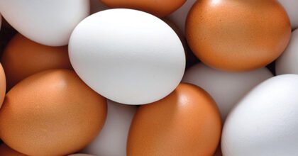 Nachfrage nach Eiern mit „Bio-“ und „ohne Gentechnik“ Label steigt in Deutschland