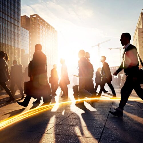 ミンテル フィールド調査