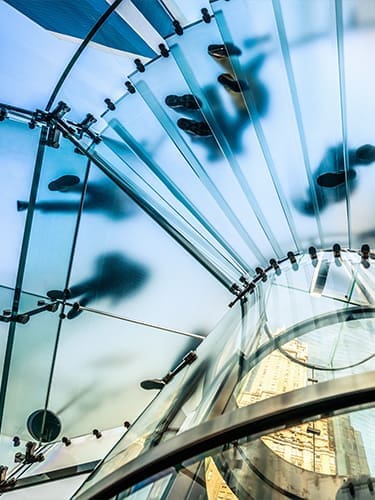 Mintel Market Dynamics